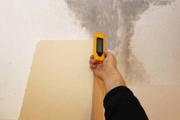 Best Comprehensive Air Testing for Mold Contaminants  in Thermopolis, WY