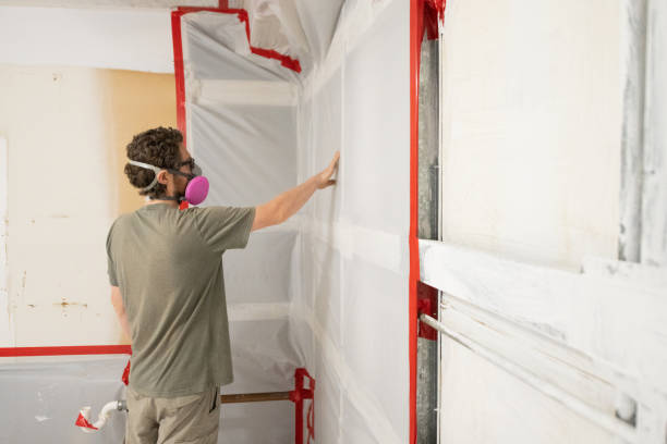 Best Real Estate Mold Inspection  in Thermopolis, WY