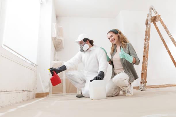 Best Water Damage & Mold Remediation  in Thermopolis, WY